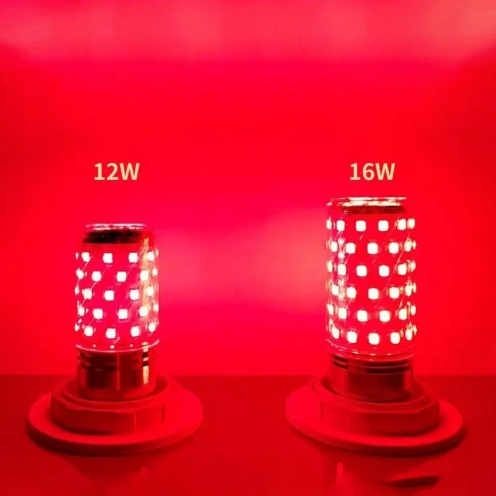 LUZ ROJA RECOVERYHOME