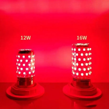 LUZ ROJA RECOVERYHOME